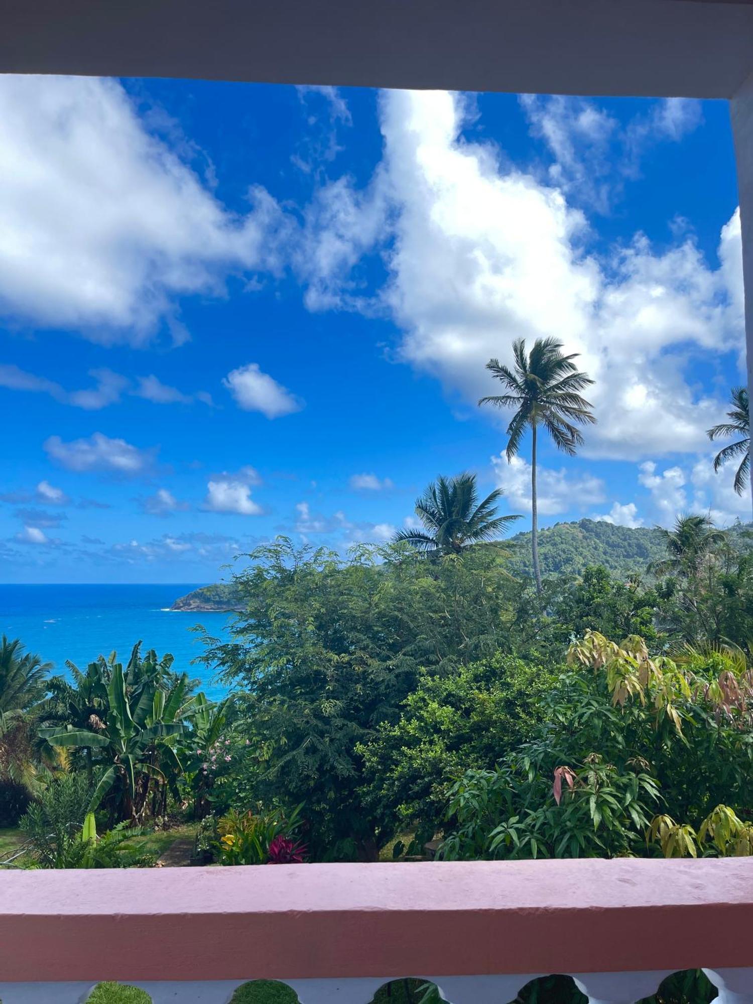 Happy Nest Dominica Marigot Exterior foto