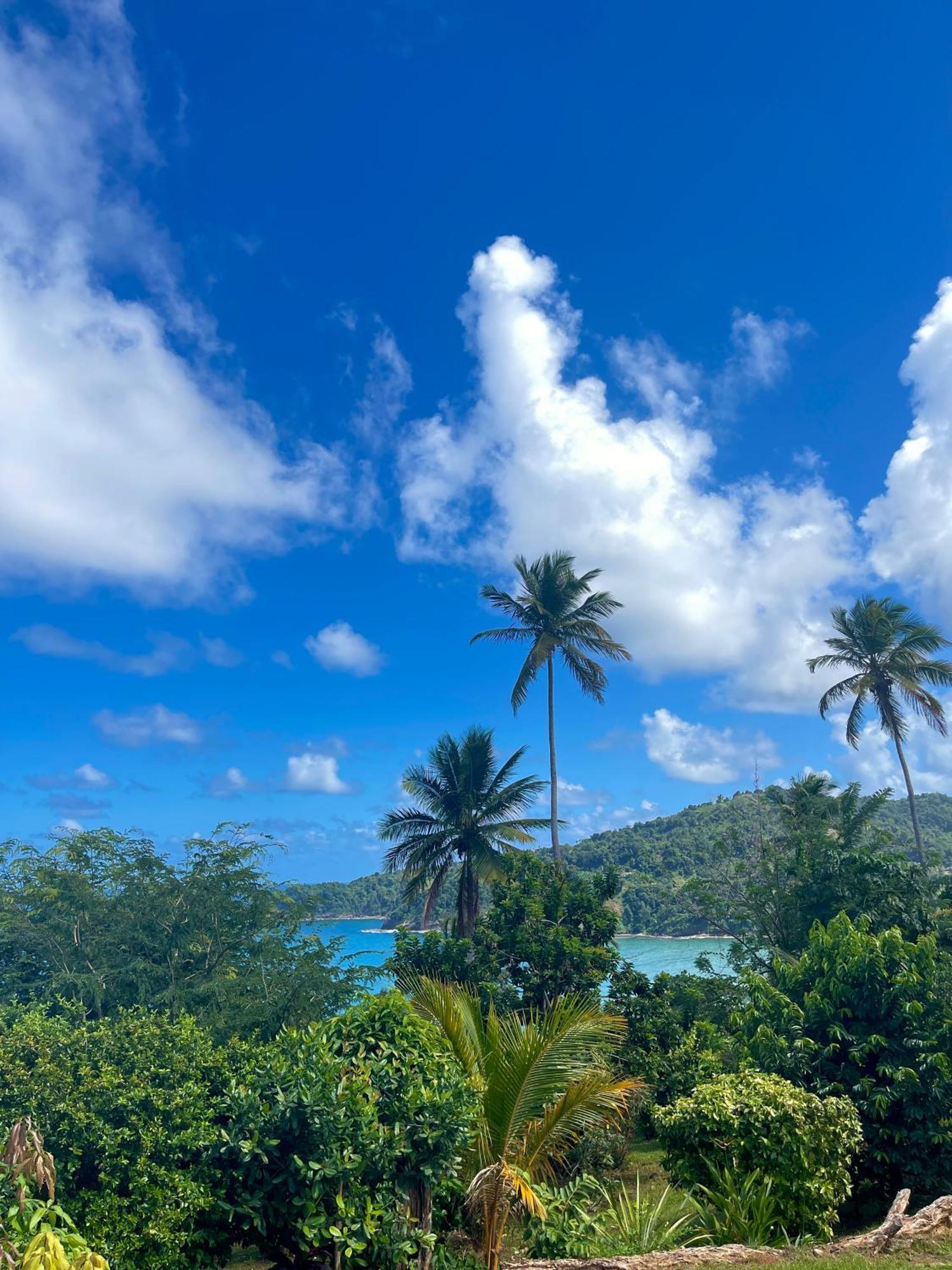 Happy Nest Dominica Marigot Exterior foto