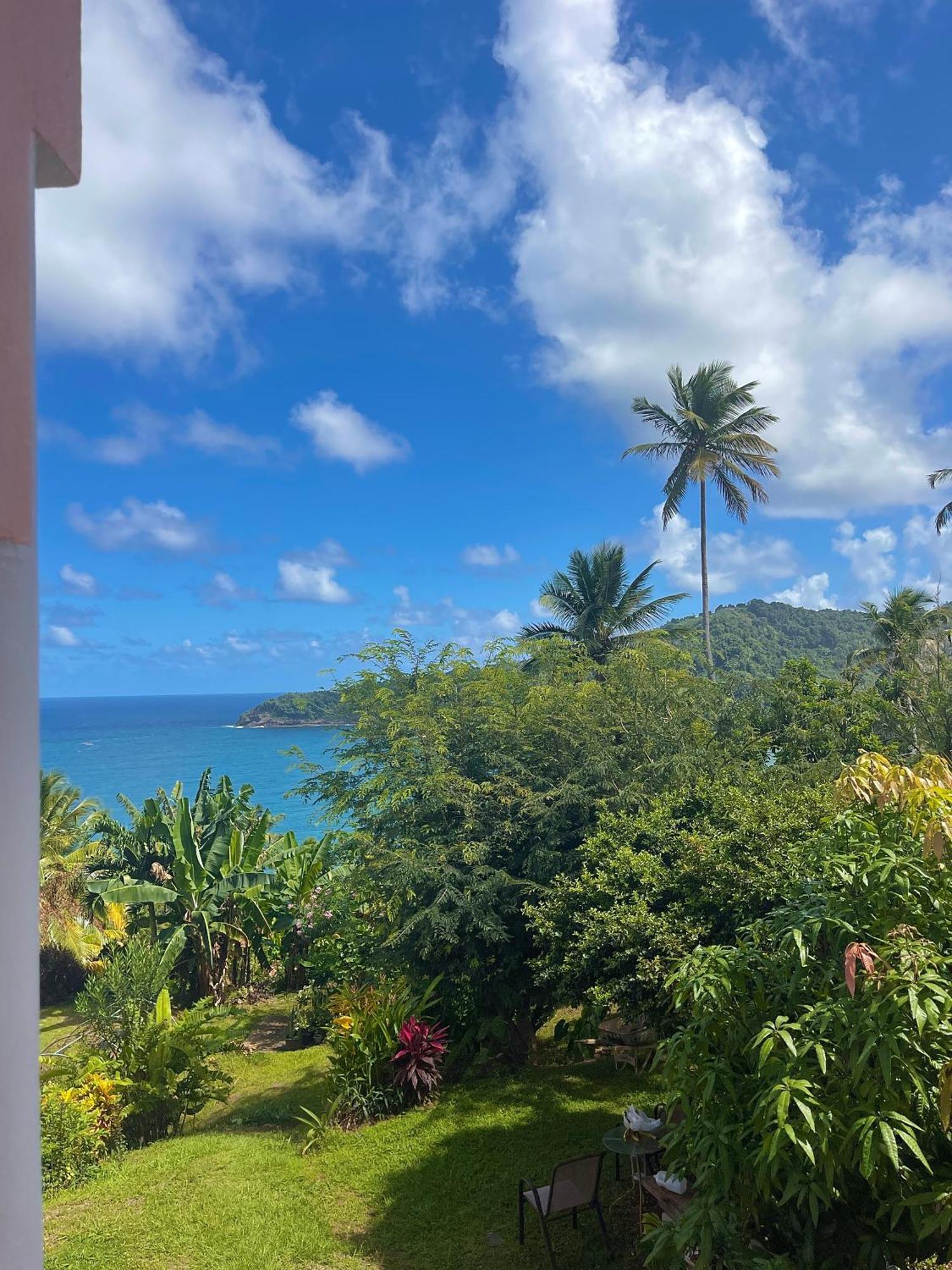 Happy Nest Dominica Marigot Exterior foto
